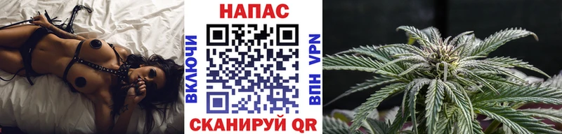 Бошки Шишки Amnesia  где можно купить наркотик  Приозерск 